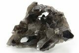 Wide, Free-Standing Smoky Quartz Cluster - Brazil #229589-1
